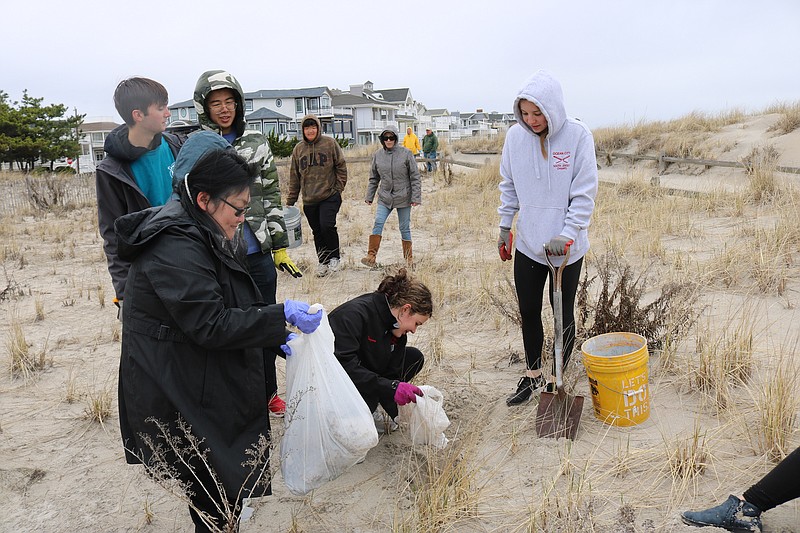 Students and other residents plant beach plums to help the environment in 2022.