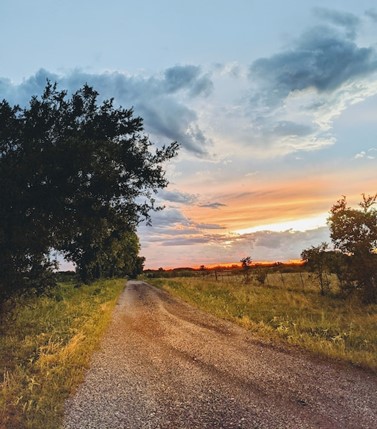 Steve Madray Texas