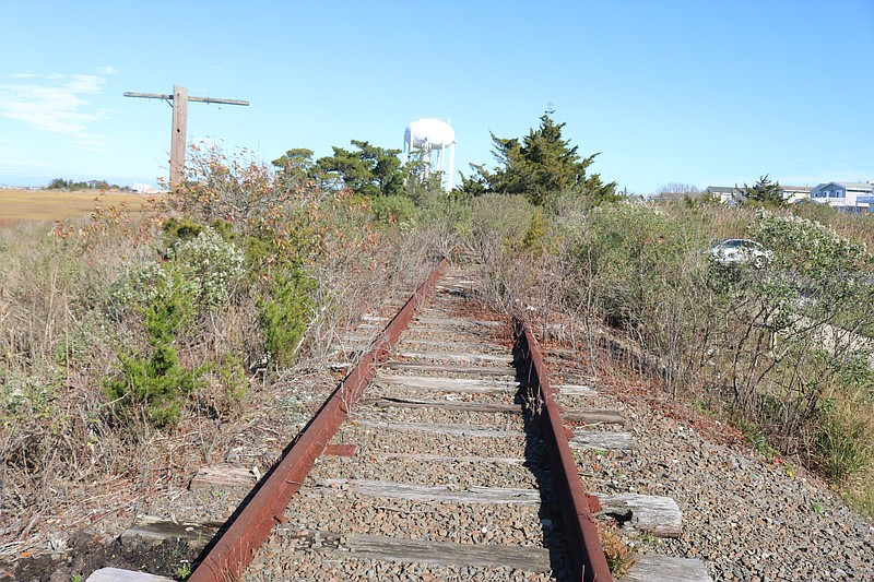 An abandoned railroad embankment, now overgrown with trees and weeds, may be part of the city's flood protection strategy for the south end.