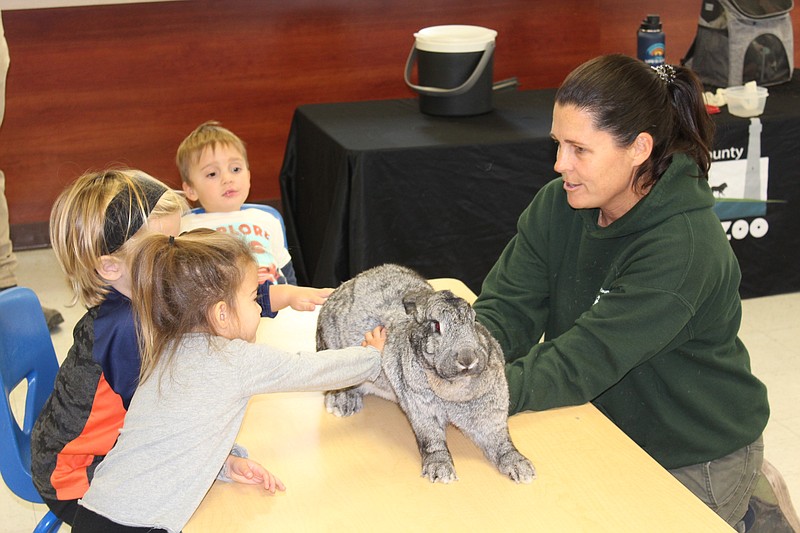 Little Rec'ers pet a rabbit from the Cape May County Zoo. (Photo courtesy of Ocean City)