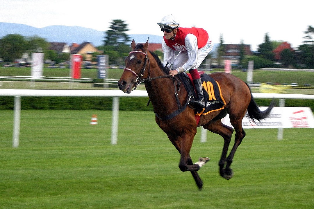 The Skills Of A Horse Racing Jockey OCNJ Daily