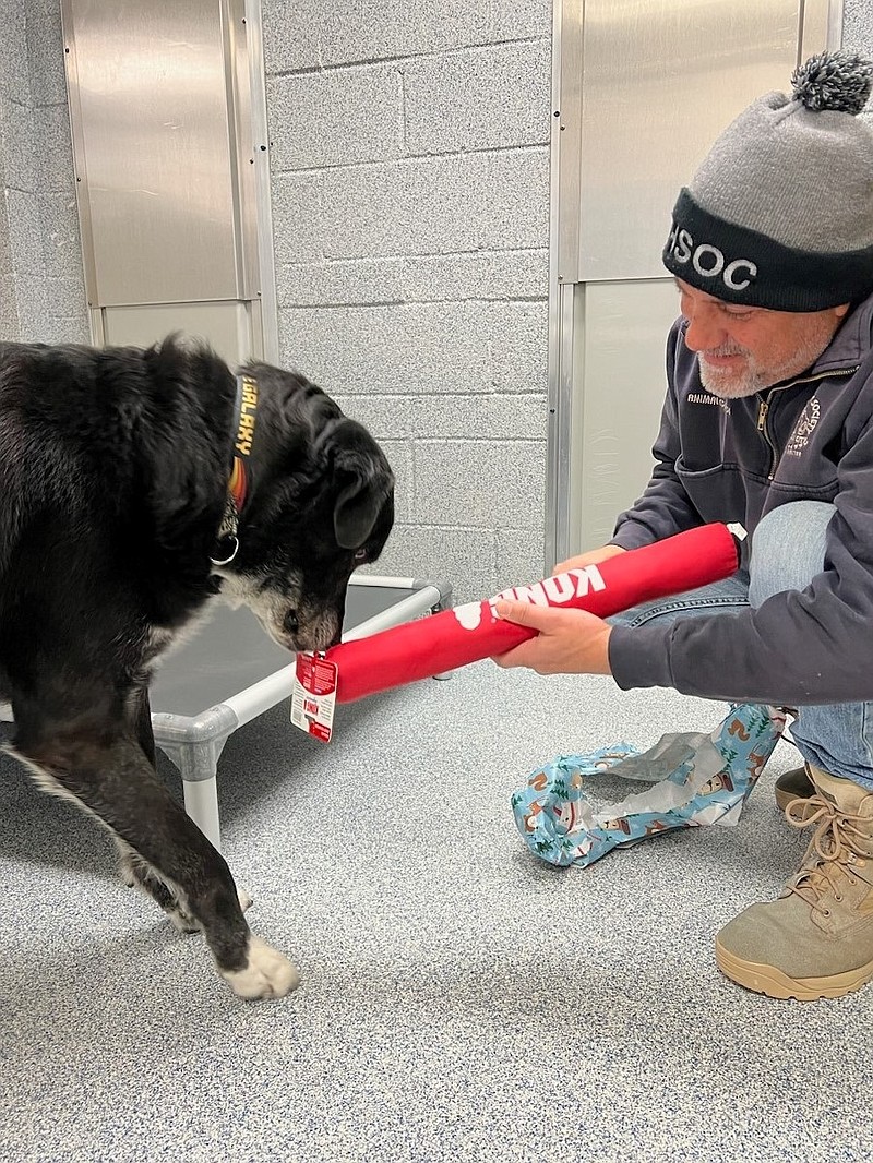 Phil Bellucci gives a Christmas present to a shelter pooch Gunner. (Photo courtesy of HSOC Facebook page)