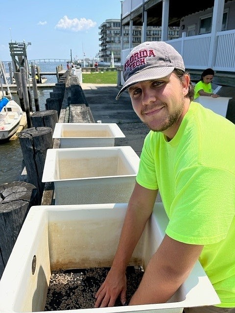 ACT Engineers Staff Coastal Scientist Mason Greene handles the oysters. (Photo courtesy of ACT Engineers)