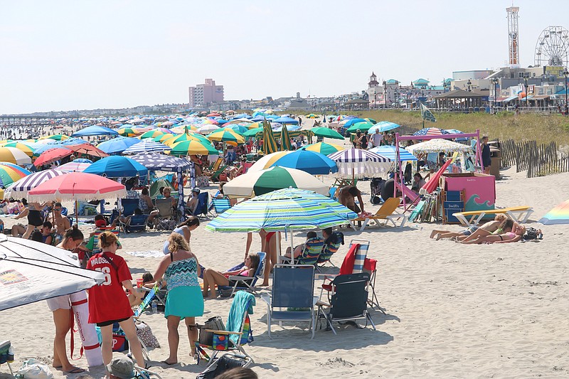 Fewer beach tags sell in the summer of 2023, but with an increase in fees, the end result is still a boost.