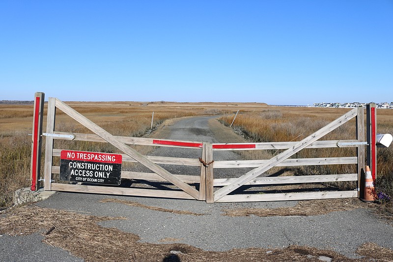 Some hunters in the marshlands off 34th Street may be in violation of state regulations.