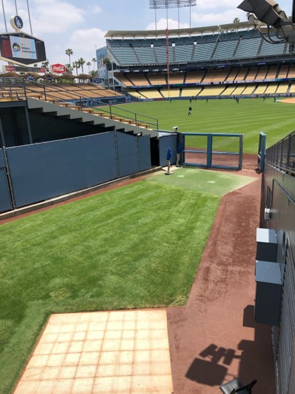 A Day Game at Dodger Stadium By Sam Coquillard