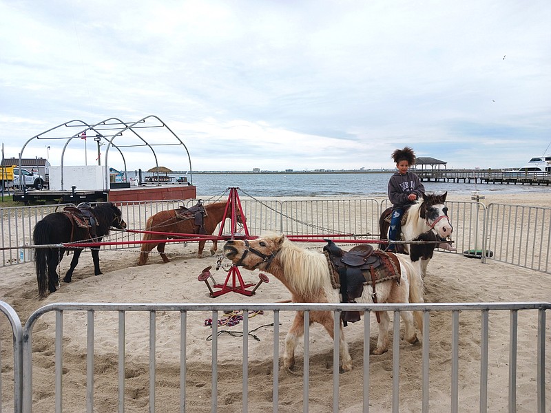 Pony rides are among the children's activities at Bayfest.