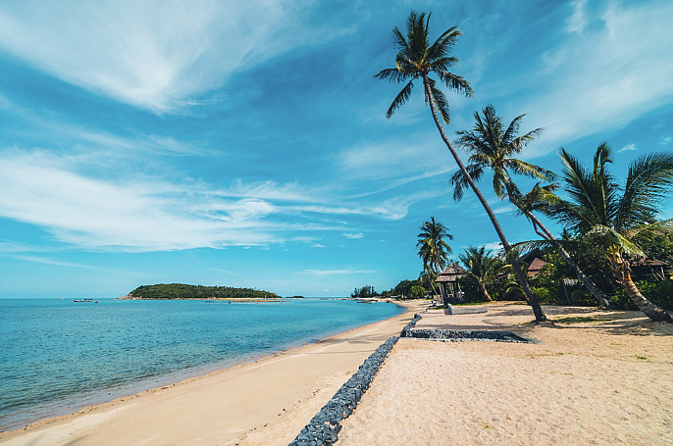 Image source - https://www.freepik.com/free-photo/beautiful-tropical-beach-sea-sand-with-coconut-palm-tree-blue-sky-white-cloud_4188227.htm