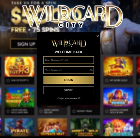 Wild Card City Casino