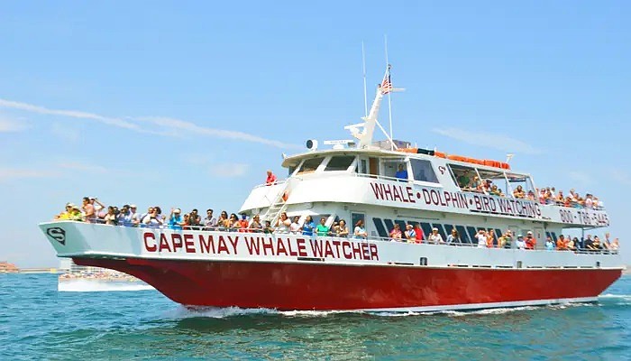 Cape May Whale Watcher provides tours along the New Jersey coast. (Photo courtesy of capemaywhalewatcher.com)