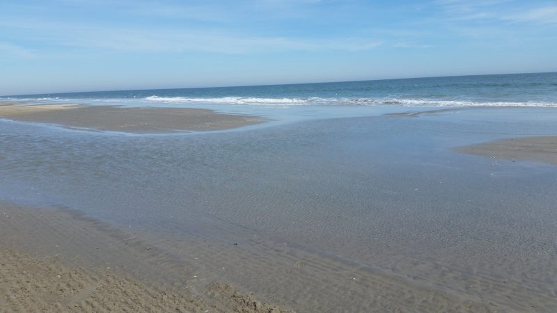 The natural regrading of the shoreline will allow tidal pools to flow back into the ocean.