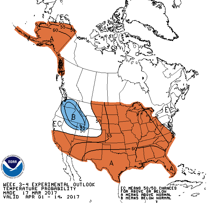 wk34temp