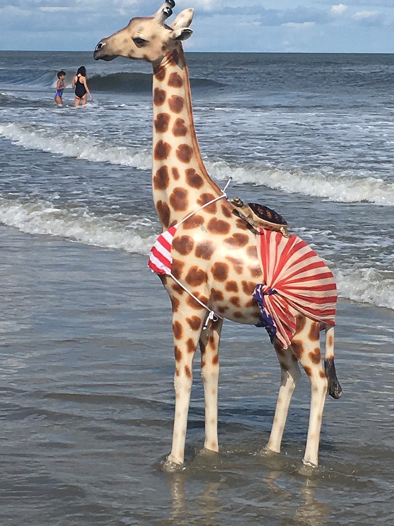 Gucci takes a dip in the ocean, wearing her patriotic-themed bikini.