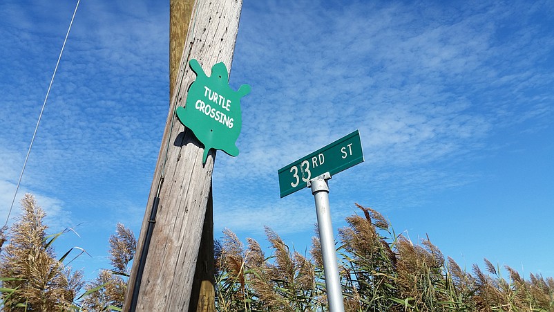 Sea Isle, which has signs that warn motorists of diamondback terrapins crossing the road, is becoming even more turtle-friendly with a new ordinance banning the mass release of balloons.