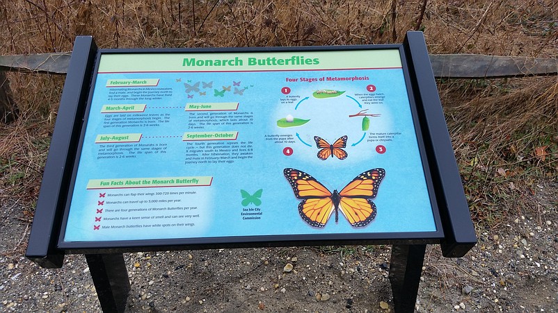 Visitors learn about the annual migration of Monarch butterflies from one of the educational signs in the park.