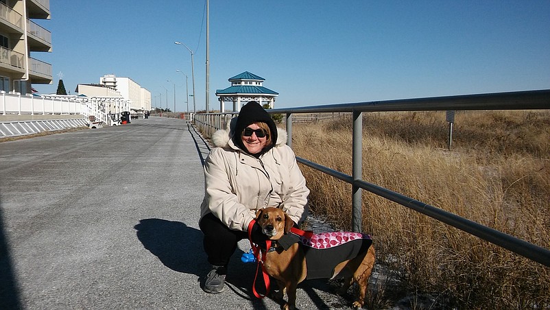 Jan Himmelreich, of King of Prussia and Sea Isle, and her dog Josie took a walk down the Promenade and onto the beach.