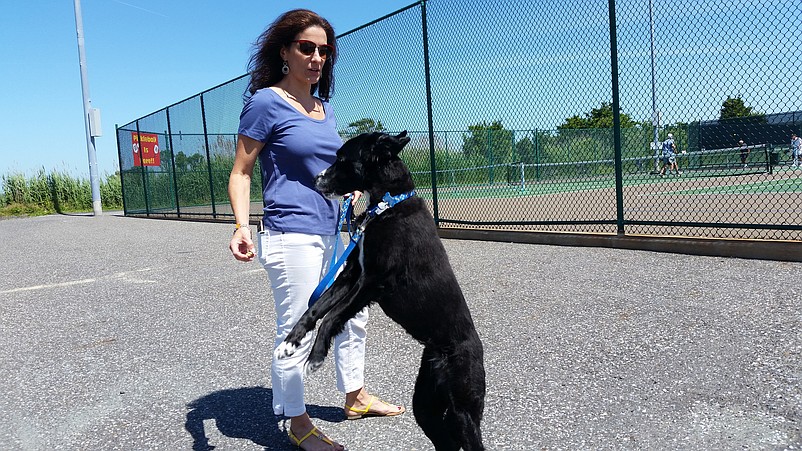 Summer resident Paula Della Penna, playing a trick with her Australian shepherd mix, Oreo, thinks a dog park would make Sea Isle a more inviting vacation destination.