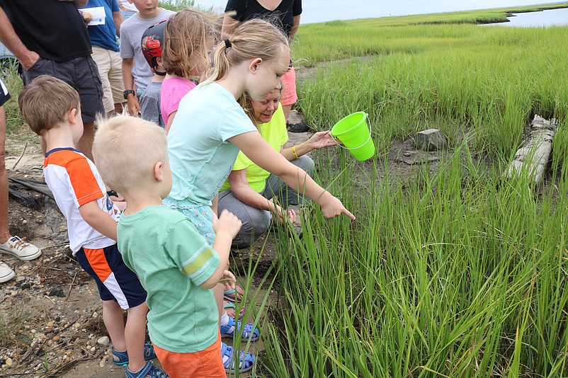 A little girl points at a terrapin Susan Ahern just released.