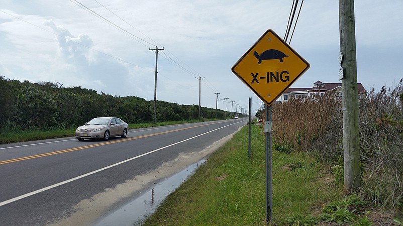 Motorists should heed turtle crossing signs like this one along Landis Avenue heading into Strathmere.