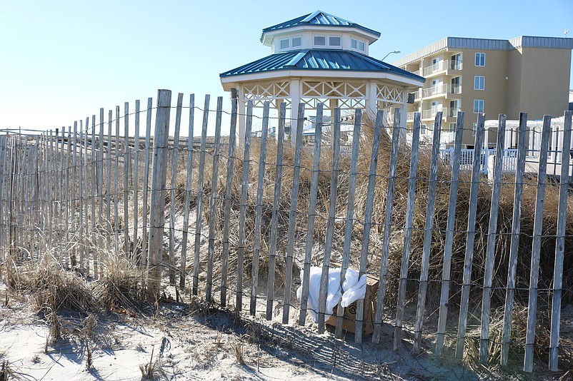 A white plastic bag wrapped around a cardboard box litters the dunes near the gazebo at the John F. Kennedy Boulevard beach.