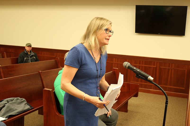 Paula Doll, Sea Isle's chief financial officer, addresses City Council during a presentation on the 2019 municipal budget.