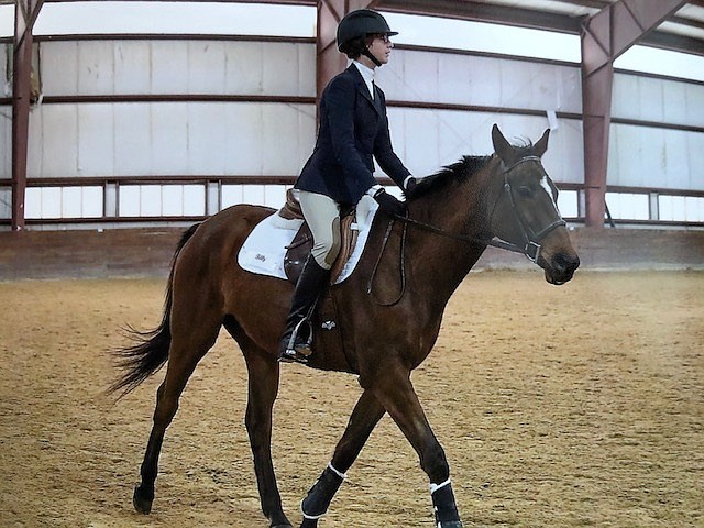 Lily Capone, a local equestrian champ, demonstrates her riding skill in an earlier competition.