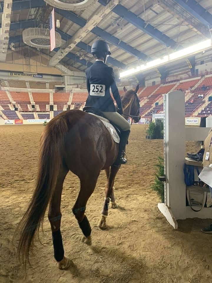 Lily Capone heads out on her final ride, which earned a fourth place finish in her class the National Finals of the Interscholastic Equestrian Association competition.