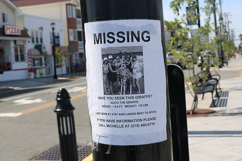 The "Missing Giraffe" sign at the corner of Landis Avenue and JFK Boulevard.