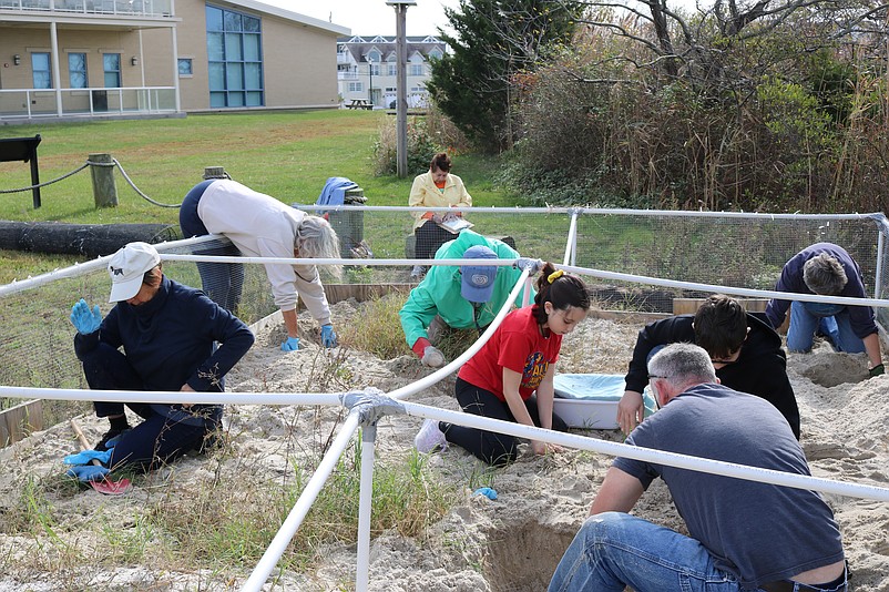 Volunteers work through the day in October 2019, prior to COVID-19, in one of the nesting boxes at the library.