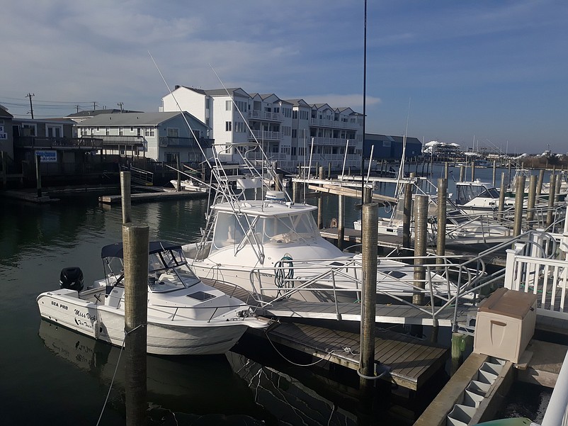 Sea Isle City is getting the municipal marina ready for boating season after a statewide shutdown on marinas was lifted by the governor.