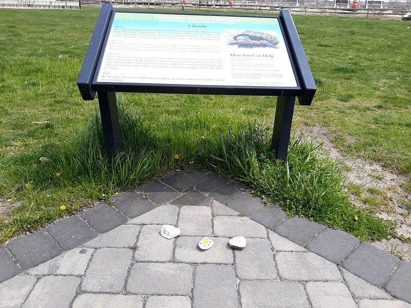 At the entrance to Excursion Park, brightly painted rocks are placed on the ground to spread happiness and hope by a local group, Sea Isle City Rocks.