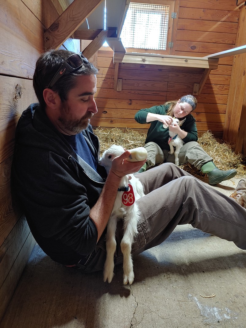 Associate Veterinarian Dr. Alex Ernst feeds a goat, along with zookeeper Jen Berg.