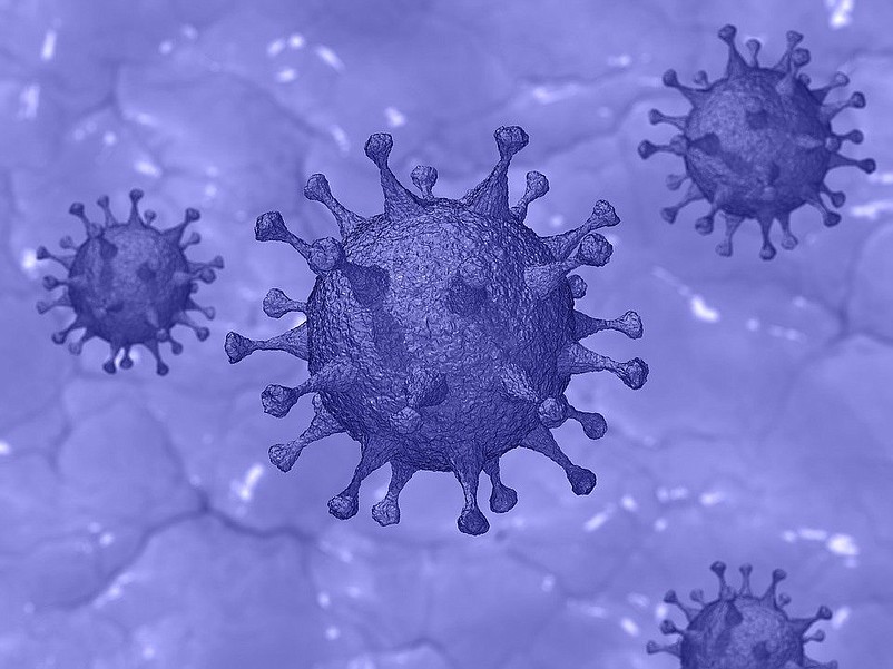 Two men from Lower Township and a Middle Township woman are the latest to die as a result of the coronavirus. (Image by Pixabay)