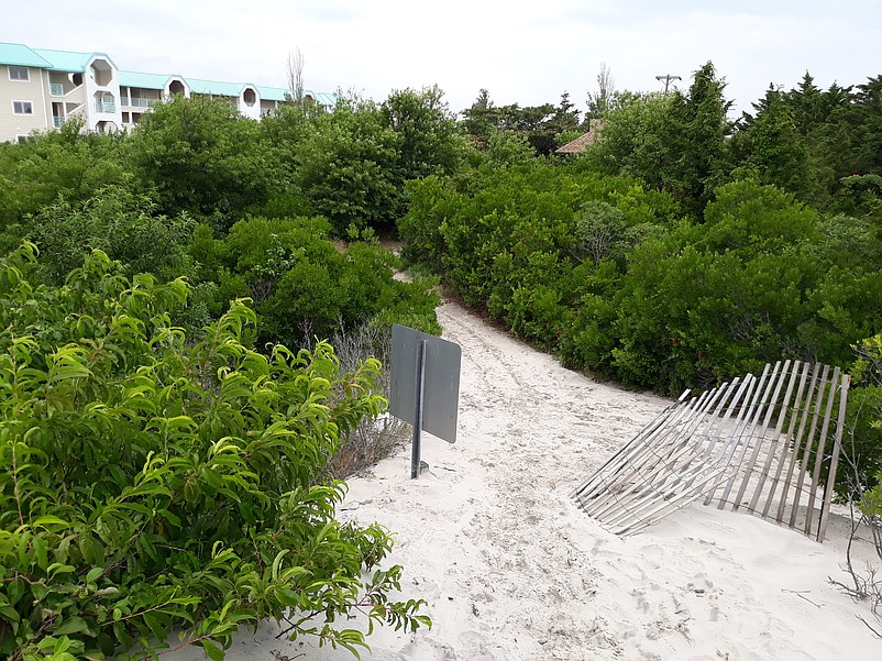 Sandy pathways wind through the park, giving visitors a close-up view of the trees, plants and wildlife.