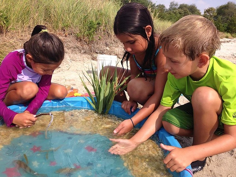 Sea Isle's summer camps combine fun with an educational component. (Photo courtesy marinesciencecamp.com)