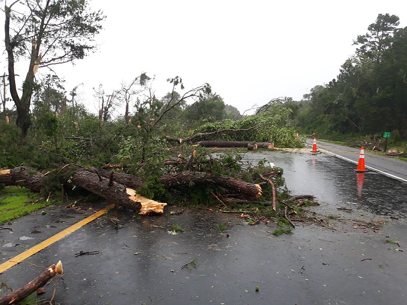 Downed trees block the Garden State Parkway southbound at Milepost 24 in the Marmora area.