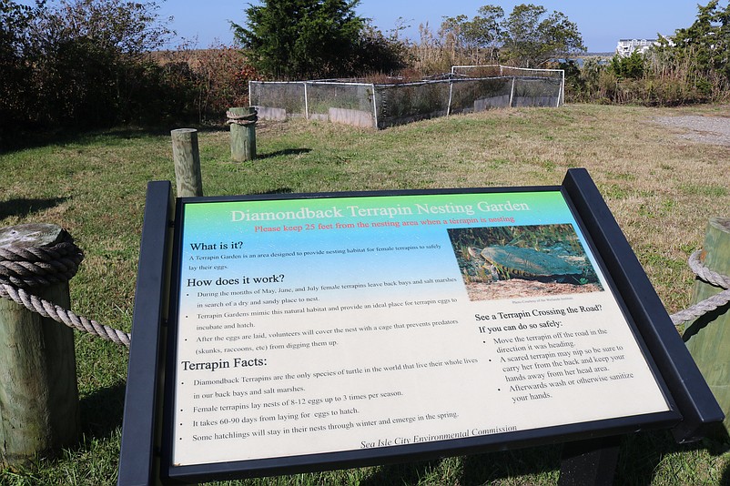 Two diamondback terrapin nesting boxes are located at the back of the Sea Isle library. 