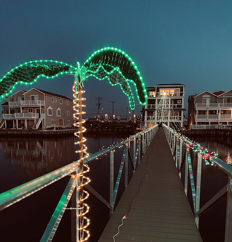 The palm tree adorns the dock. (Photo courtesy of the Ciseck/Glancey families)