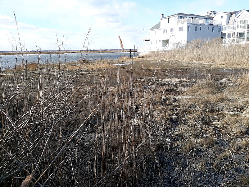 The property owners sued Sea Isle City's Zoning Board in 2019 after they were denied approval to build a home on this bayfront site at the end of 81st Street.