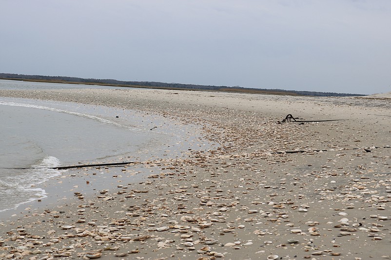 The shoreline is now littered with countless clam shells in place of the thick sand once there.