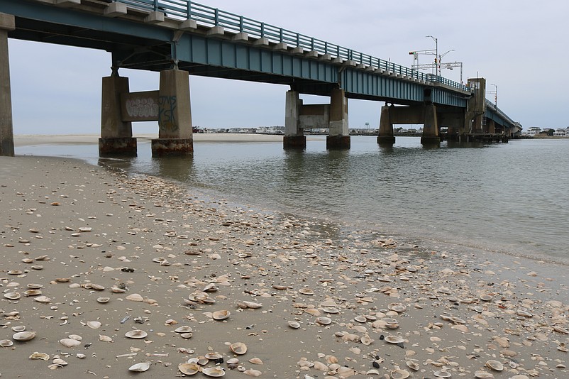 Part of the beach on the Sea Isle City side of the  Townsends Inlet Bridge has been stripped of its top layer of powdery sand, exposing countless clam shells.