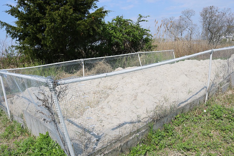 This large nesting box is filled with mounds of sand.