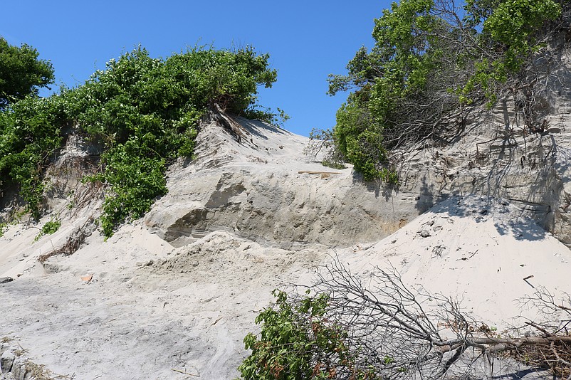 A pathway leading from Townsends Inlet Waterfront Park to the beach is sheared away by the collapsed dune.