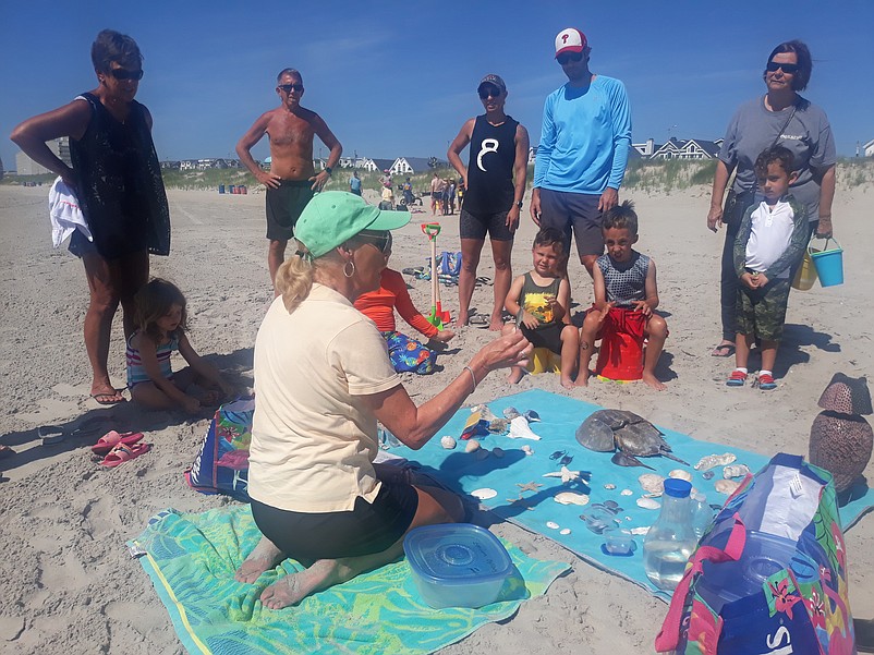 Beachcombing guides display seashells and other marine life while giving a presentation during the tours.