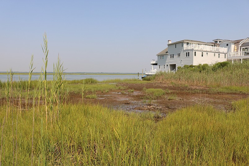 The marshy property overlooks the back bay at the end of 81st Street.