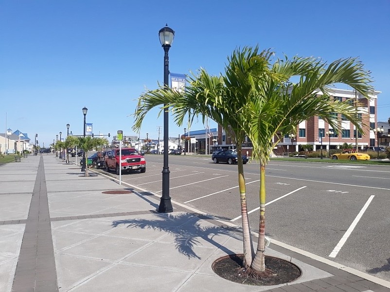 Palm trees line the JFK entryway into town.