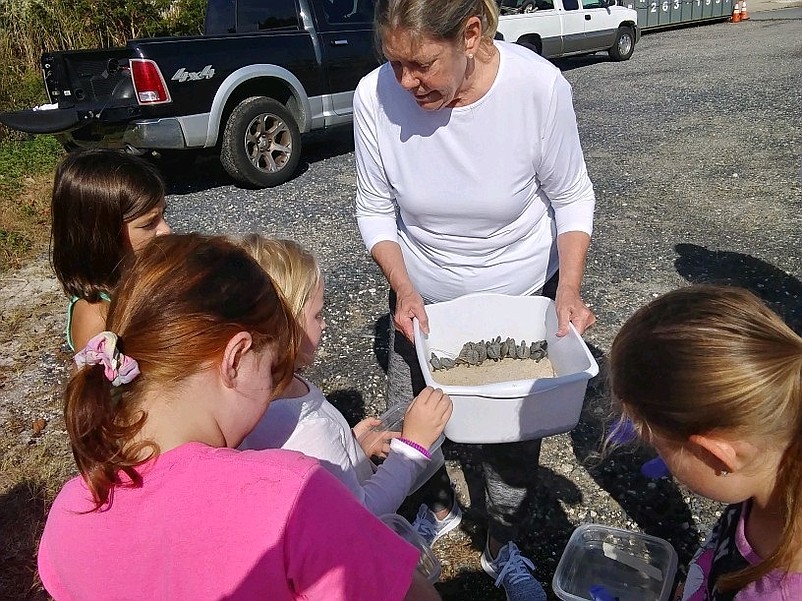 Sea Isle Terrapin Rescue organizer Susan Ahern talks with children about a baby turtle release in 2021.