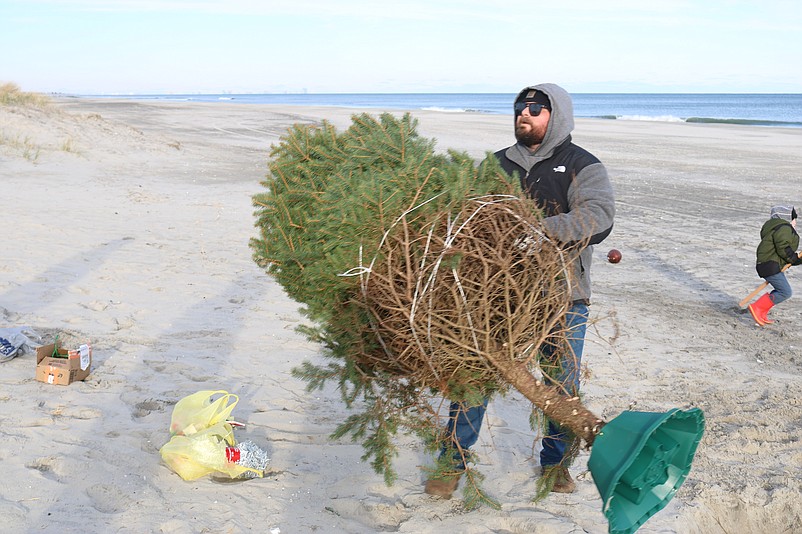 Nick Giordano carries the Colorado blue spruce out onto the beach.