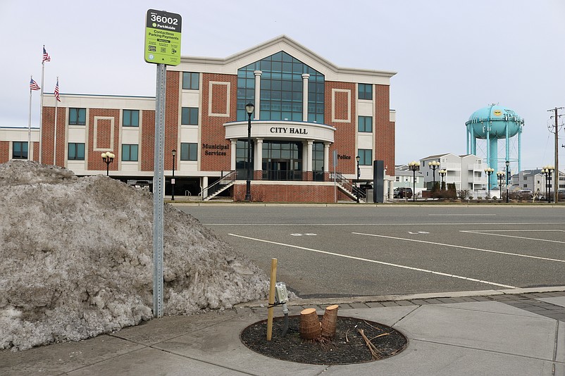 Freshly cut stumps are all that remain of palm trees that had lined Sea Isle's John F. Kennedy Boulevard entranceway.