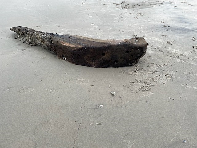 Art Iannone, who found this large piece of wood on the beach, believes it is a remnant of an old shipwreck. (Photo courtesy of Art Iannone)